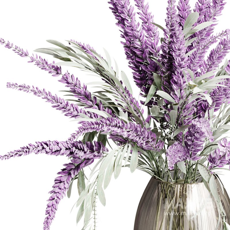 Indoor Plant 16 - Image 2