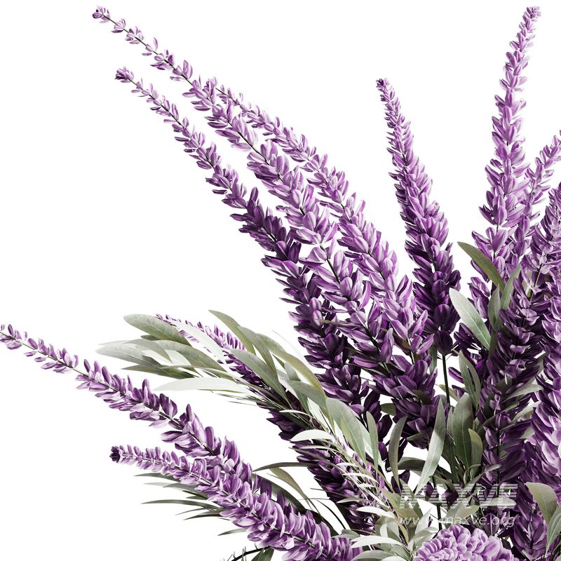 Indoor Plant 16 - Image 3