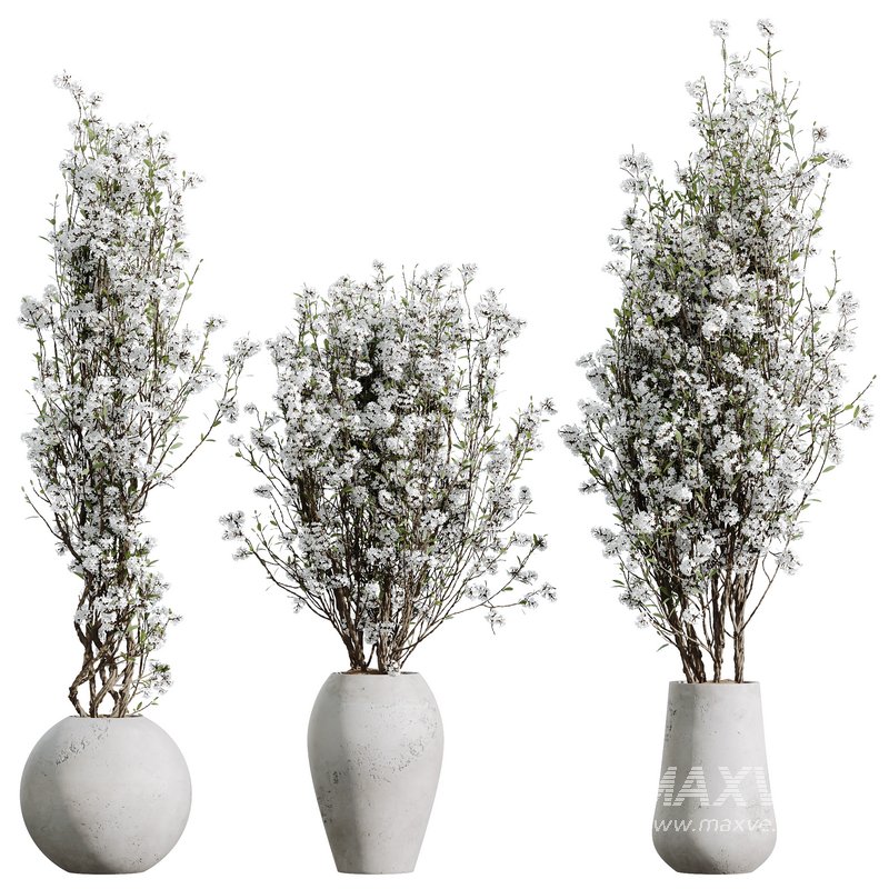HQ HousePlants Tropez Planter Cherry Blossom Decorative Tree04 - Image 1