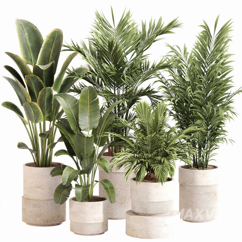 Indoor Plant Set 0112 - Image 1