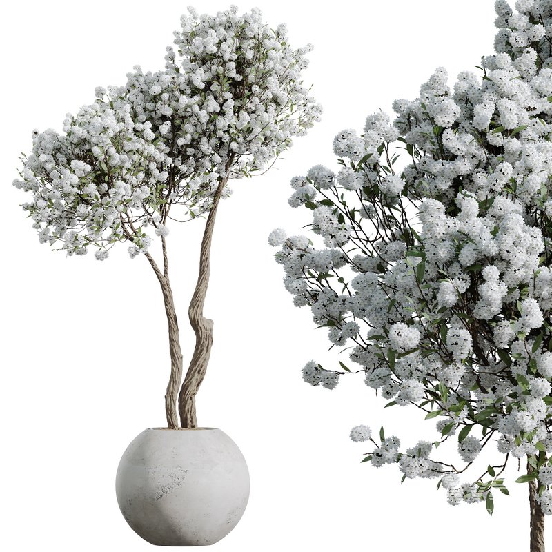 HQ HousePlants Tropez Planter Cherry Blossom Decorative Tree02 - Image 3