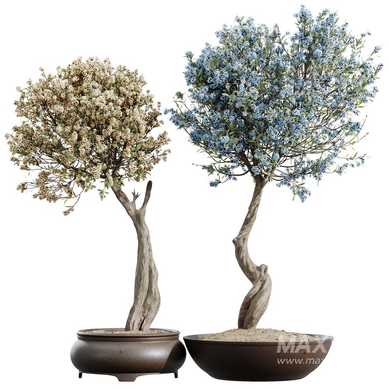 HQ HousePlants Tropez Planter Cherry Blossom Decorative Tree Color - Image 1