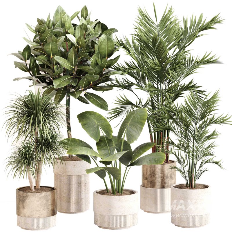 Indoor Plant Set 0107 - Image 1
