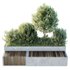 HQ Outdoor Plants Wilsonii Chemlali Olive Bench Set012 - Thumbnail 2