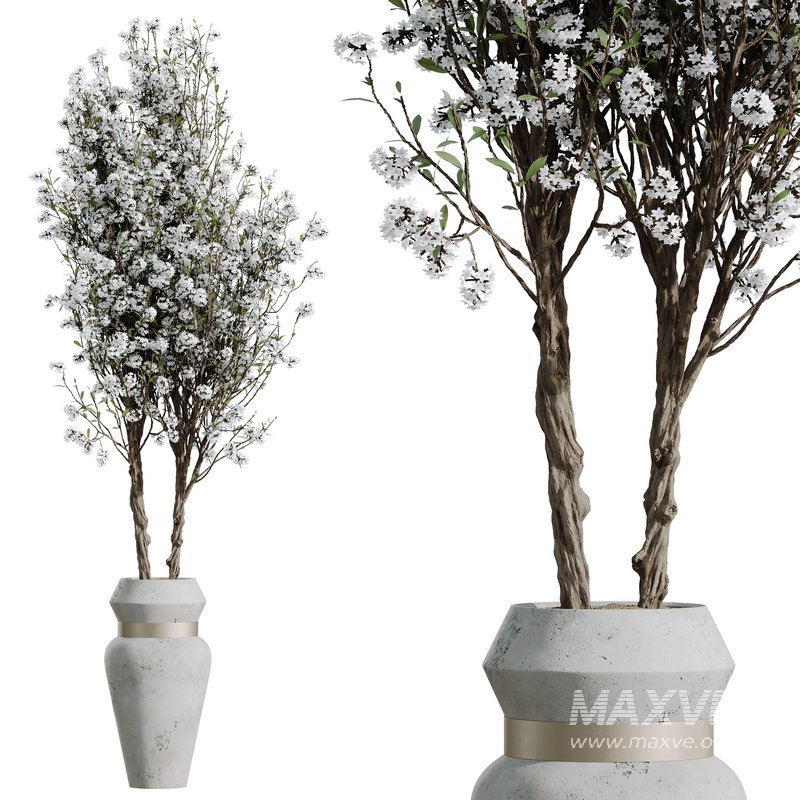 HQ HousePlants Tropez Planter Cherry Blossom Decorative Tree03 - Image 1
