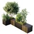 HQ Outdoor Plants Wilsonii Chemlali Olive Bench Set011 - Thumbnail 1