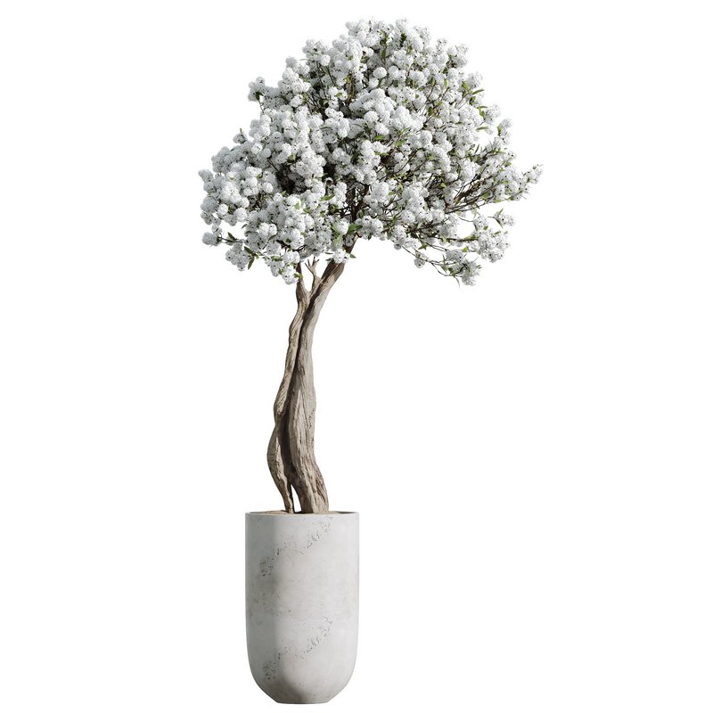 HQ HousePlants Tropez Planter Cherry Blossom Decorative Tree - Image 1
