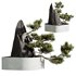 HQ HousePlants Interior Decorative Bonsai Mission Kalamata Leccino Olive Set11 - Thumbnail 3
