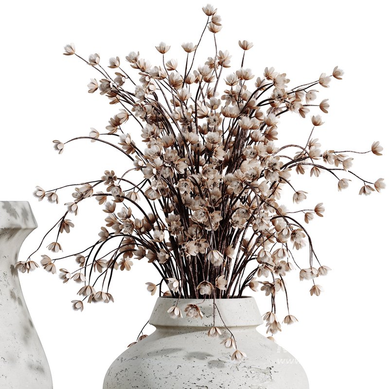 HQ HousePlants Decorative Iliyan Pampas Dried Branches Pampy - Image 3