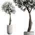 HQ HousePlants Tropez Planter Cherry Blossom Decorative Tree - Thumbnail 3