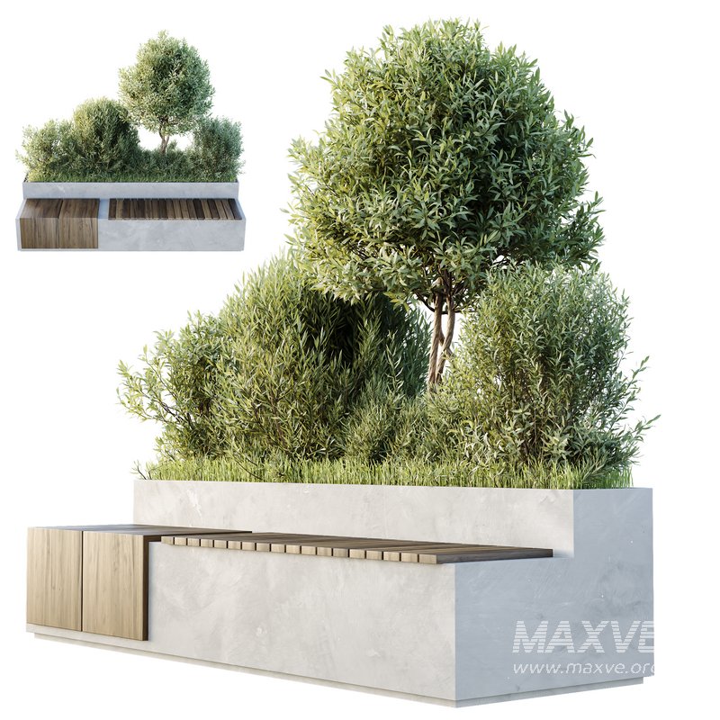 HQ Outdoor Plants Wilsonii Chemlali Olive Bench Set012 - Image 1