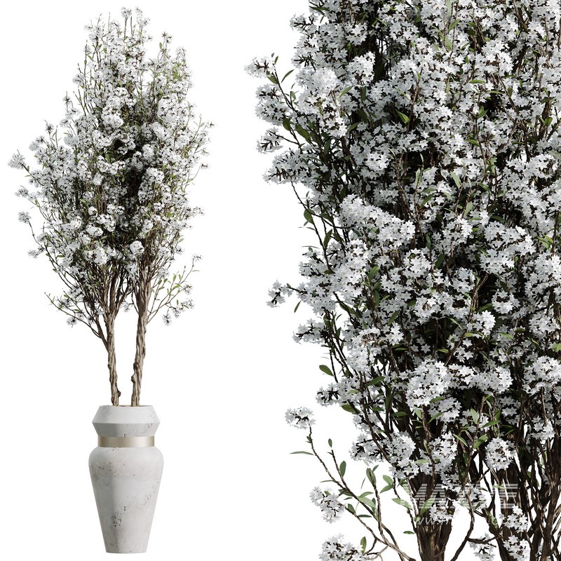 HQ HousePlants Tropez Planter Cherry Blossom Decorative Tree03 - Image 4