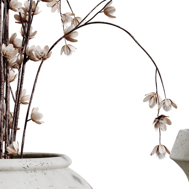 HQ HousePlants Decorative Iliyan Pampas Dried Branches Pampy - Image 2