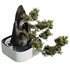HQ HousePlants Interior Decorative Bonsai Mission Kalamata Leccino Olive Set11 - Thumbnail 2