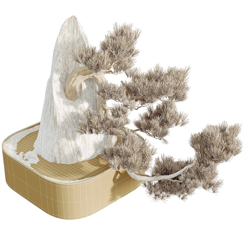 HQ HousePlants Interior Decorative Bonsai Mission Kalamata Leccino Olive Set11 - Image 4