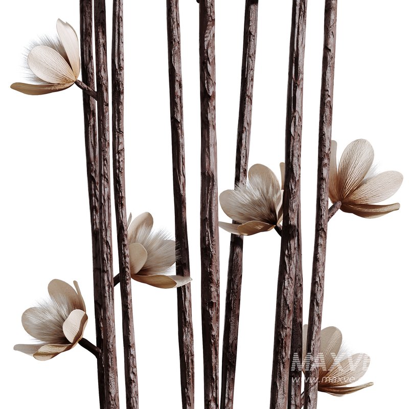 HQ HousePlants Decorative Iliyan Pampas Dried Branches Pampy - Image 4