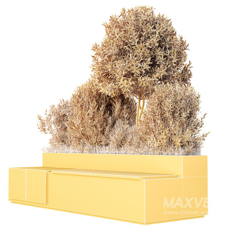 HQ Outdoor Plants Wilsonii Chemlali Olive Bench Set012 - Image 4