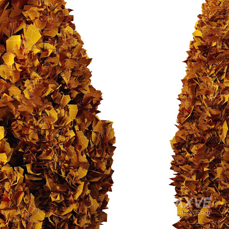 Catalpa Bignonioides Nana Indian Bean and Rocky Mountain Juniper - Image 5