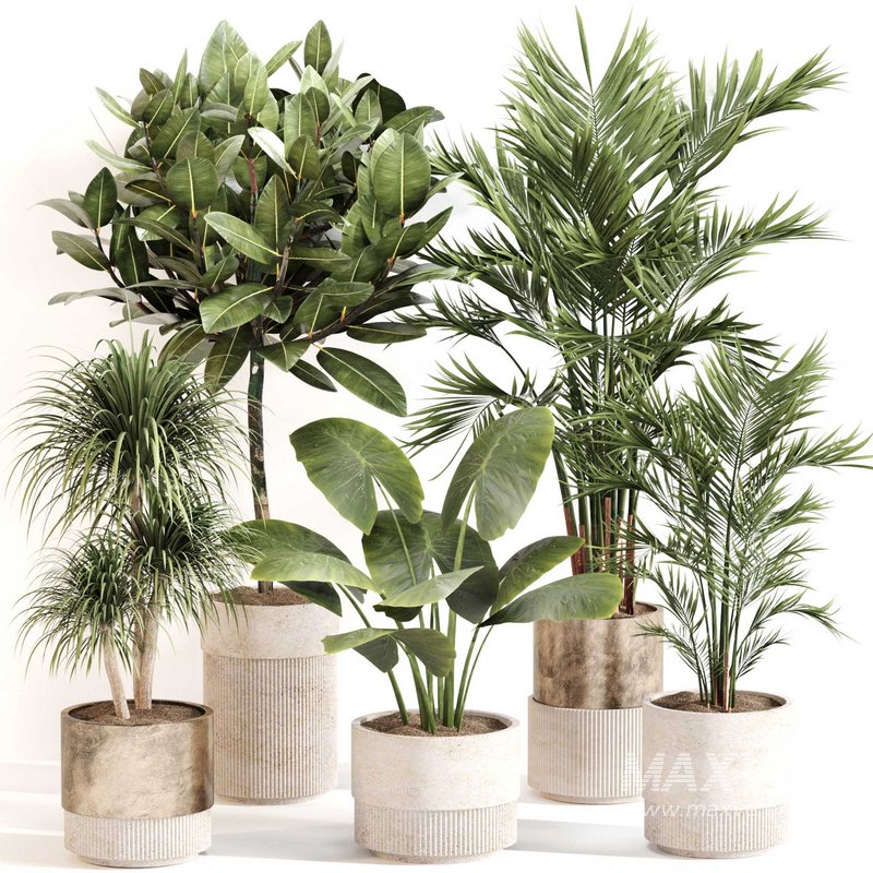 Indoor Plant Set 0107 - Image 5