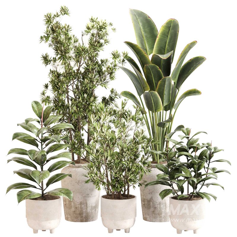 Indoor Plant Set 0110 - Image 1