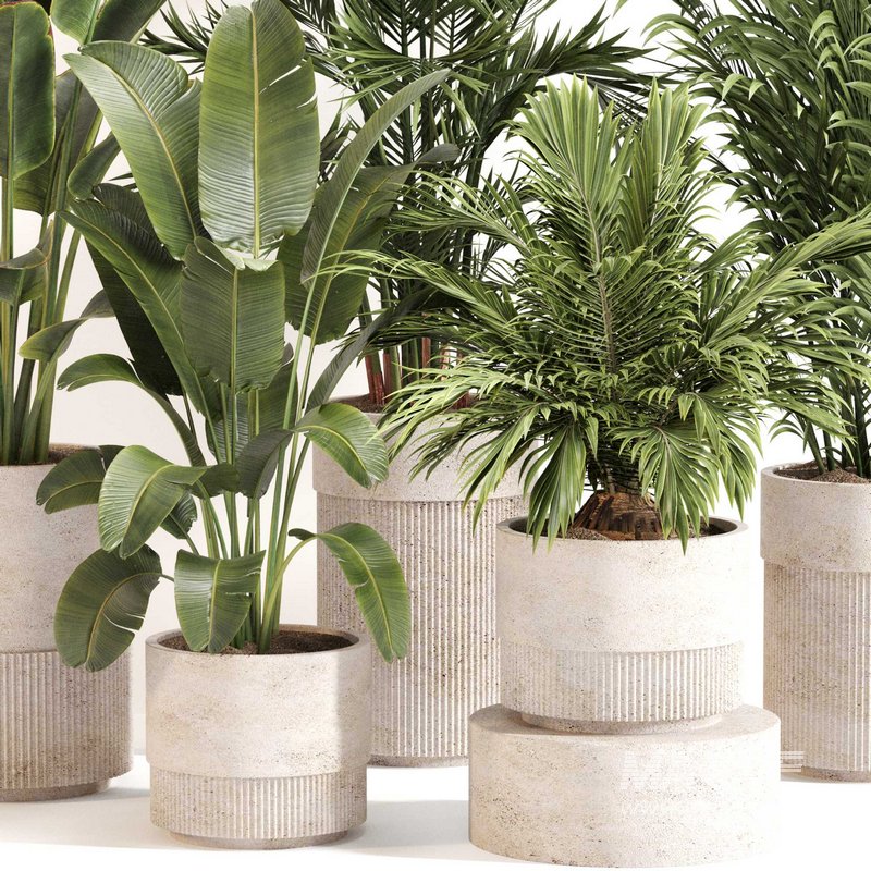 Indoor Plant Set 0112 - Image 2