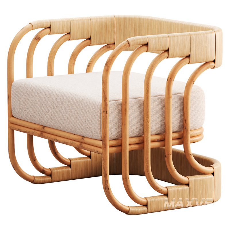 Serafina Occasional Chair - Image 1