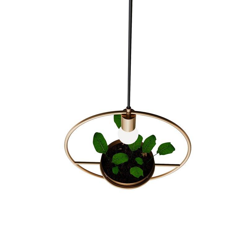 Gold-Pendant lamp - Image 2