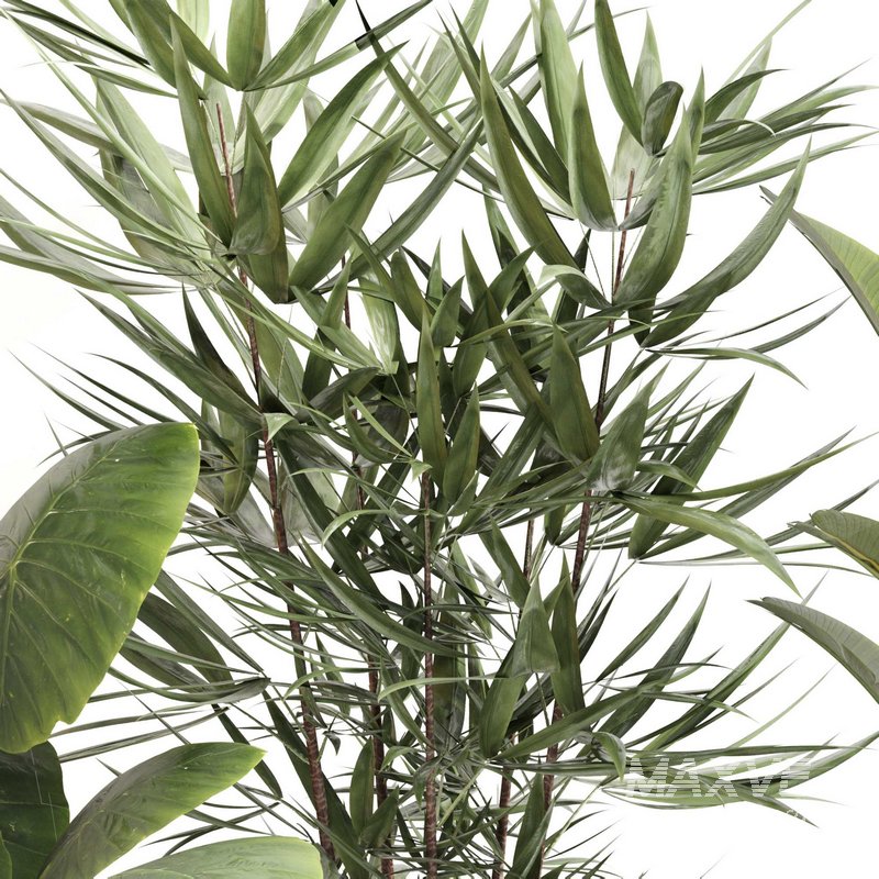 Indoor Plant Set 0108 - Image 4