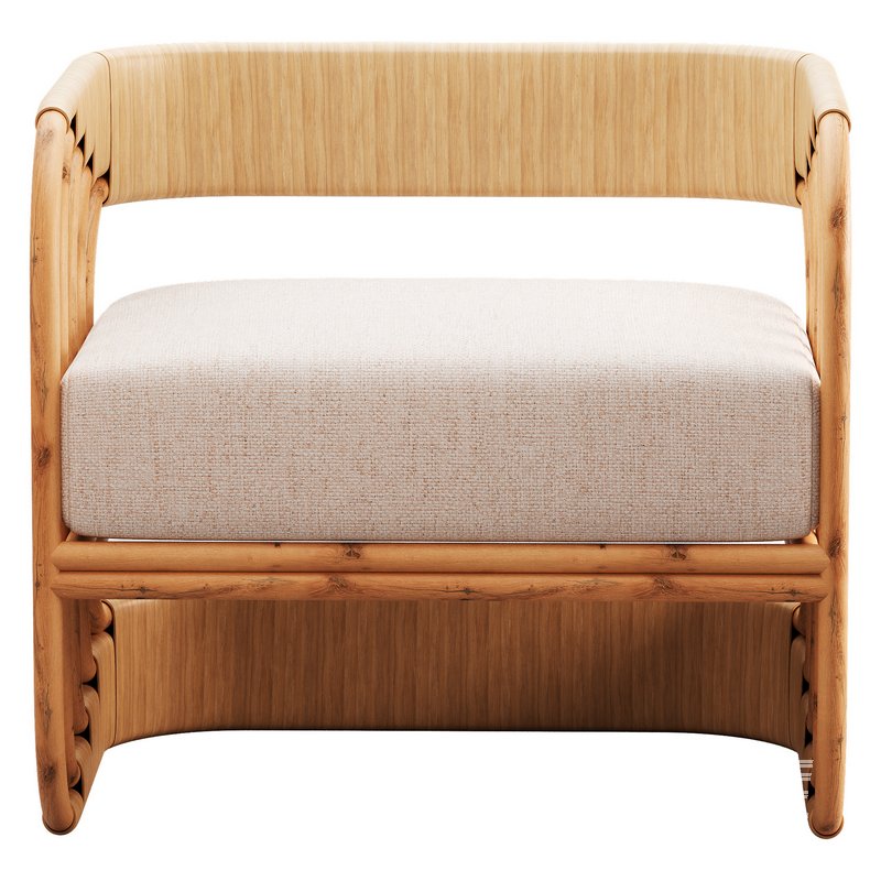 Serafina Occasional Chair - Image 4