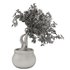 pot of bougainvillea tree - Thumbnail 2