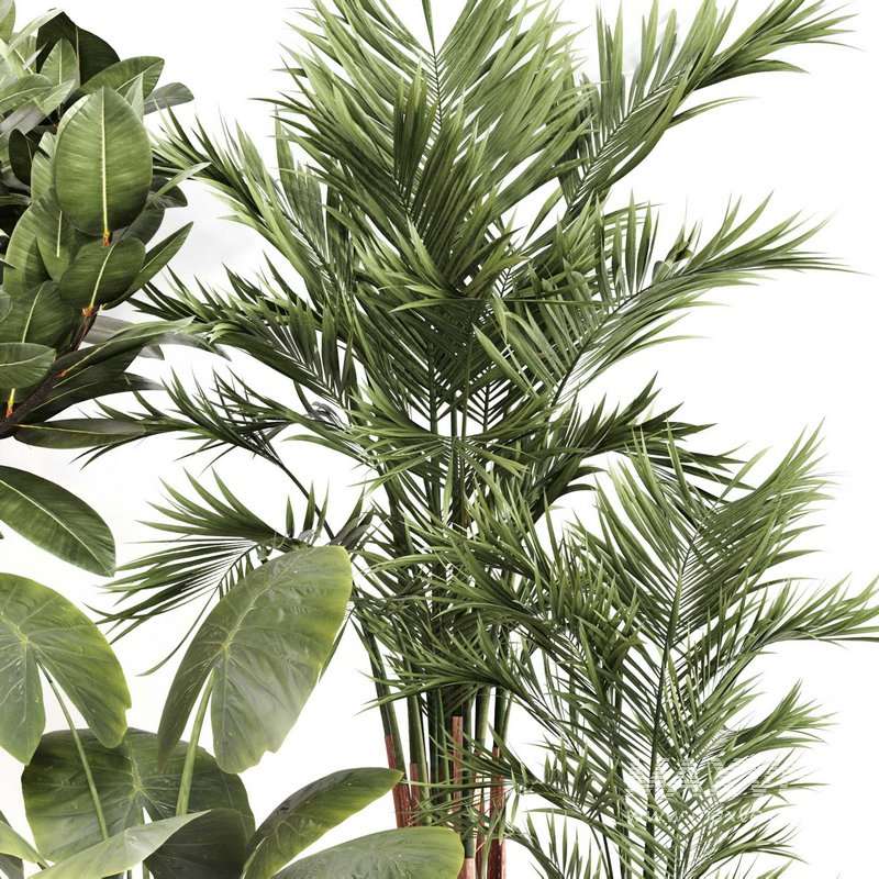 Indoor Plant Set 0107 - Image 3