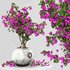 Bird of paradise flower and bougainvillea tree - Thumbnail 4