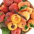 bowl of apricots and peaches - Thumbnail 2