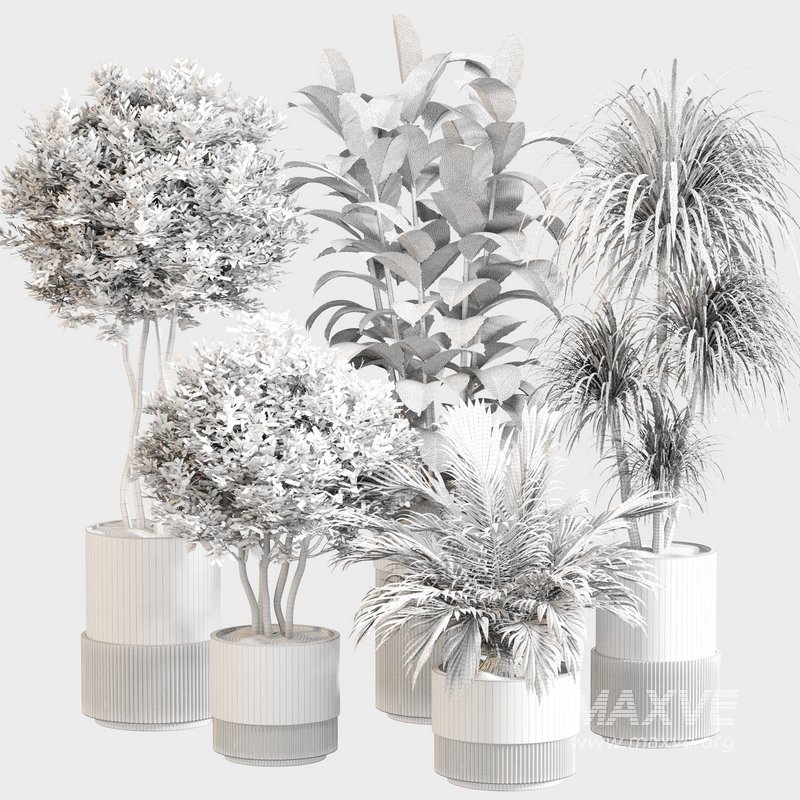 Indoor Plant Set 0109 - Image 3