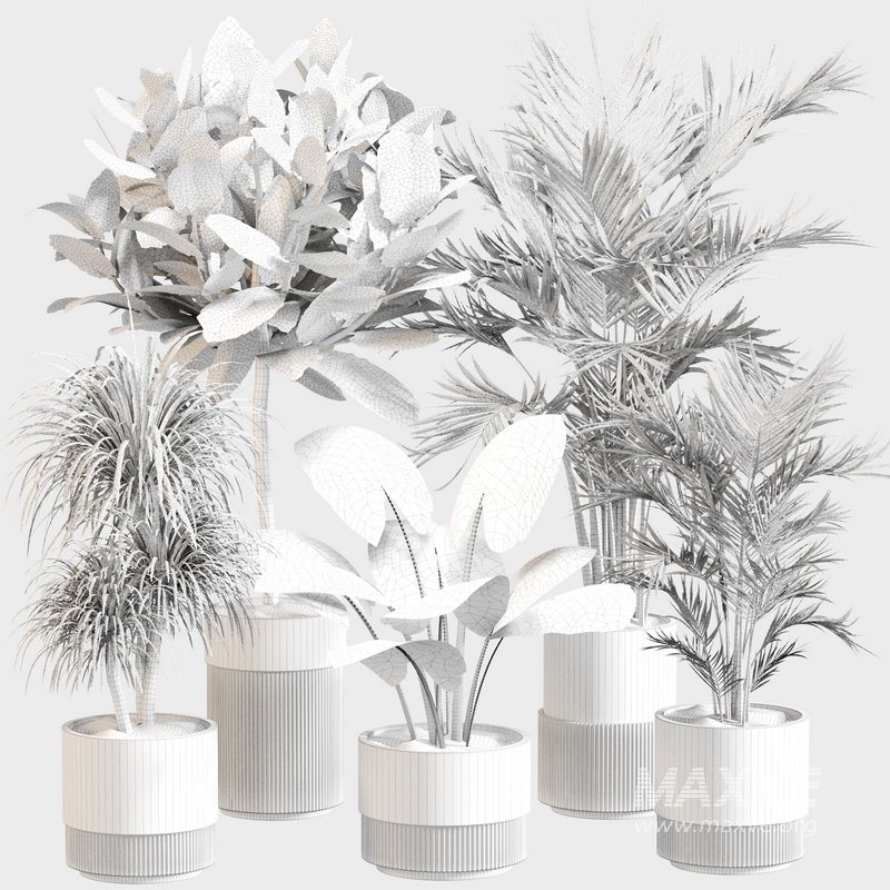 Indoor Plant Set 0107 - Image 6