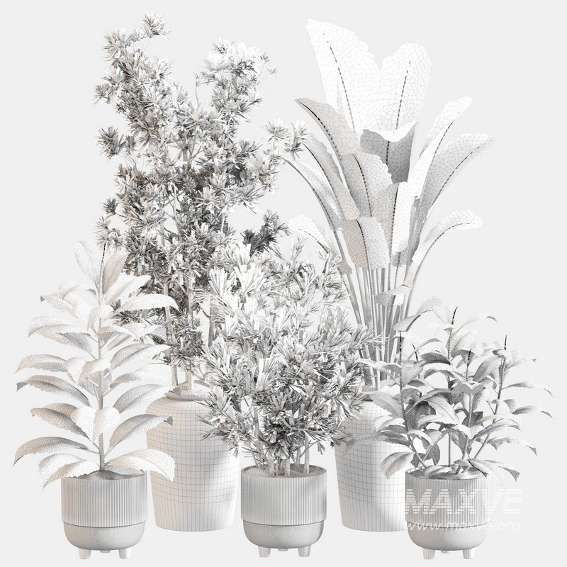 Indoor Plant Set 0110 - Image 5