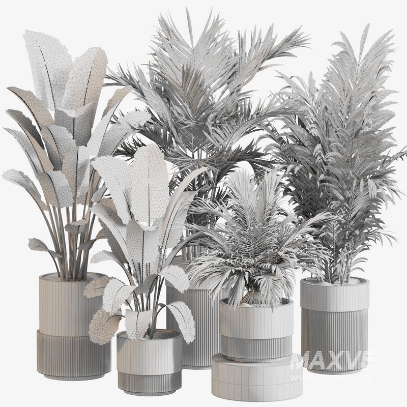 Indoor Plant Set 0112 - Image 5
