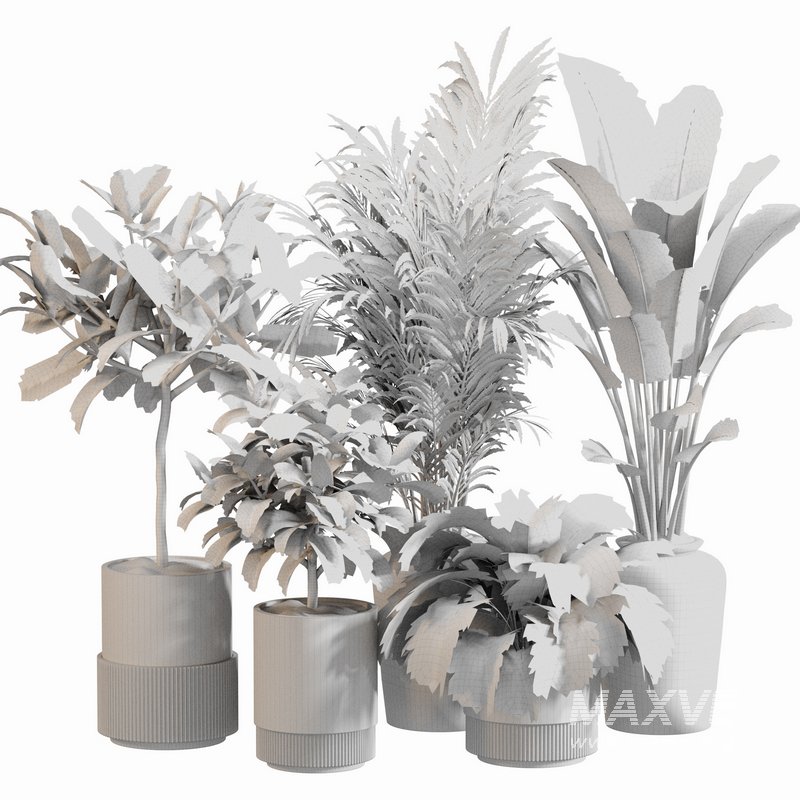 Indoor Plant Set 0111 - Image 4