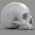 black skull head - Thumbnail 8