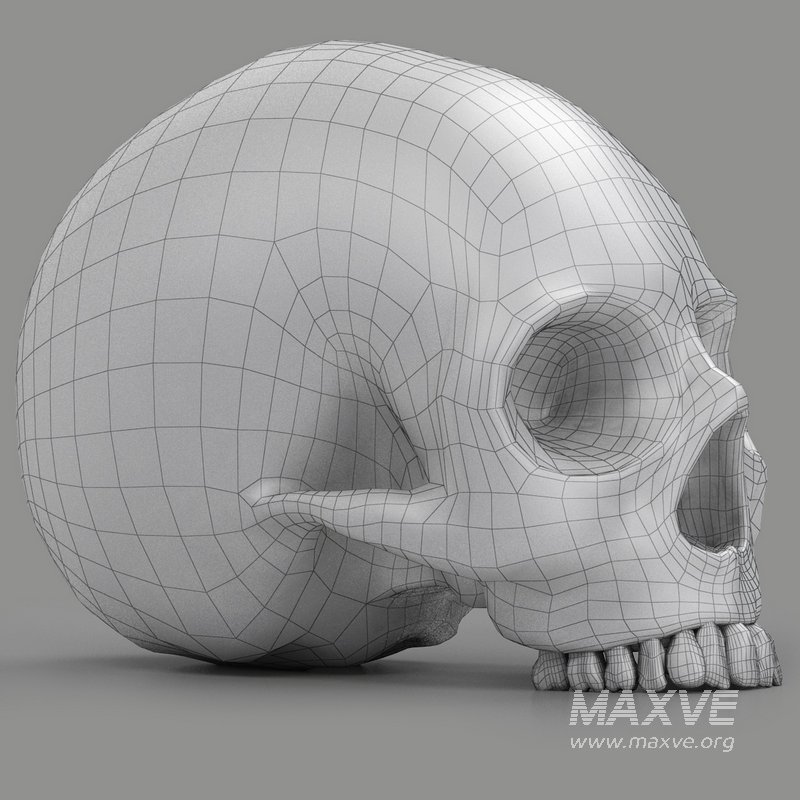 black skull head - Image 8