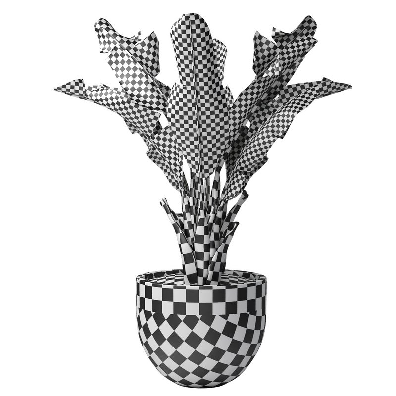 tropical indoor plant tree - Image 6