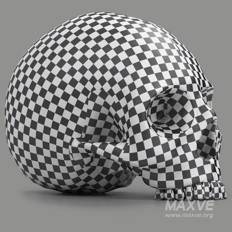 black skull head - Image 7