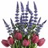 bouquet set04 tulip flower - Thumbnail 2