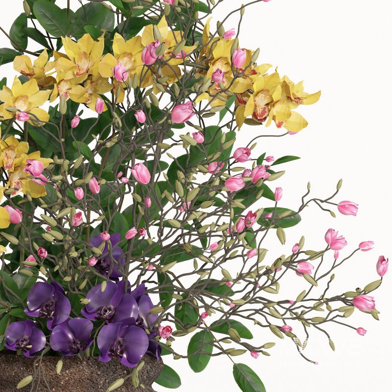 bouquet set05 collection cimbydium orchid - Image 2