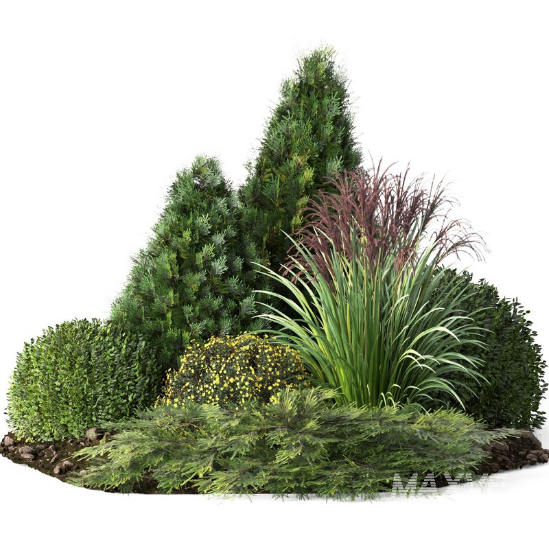 outdoor garden tree plant015 collection - Image 1