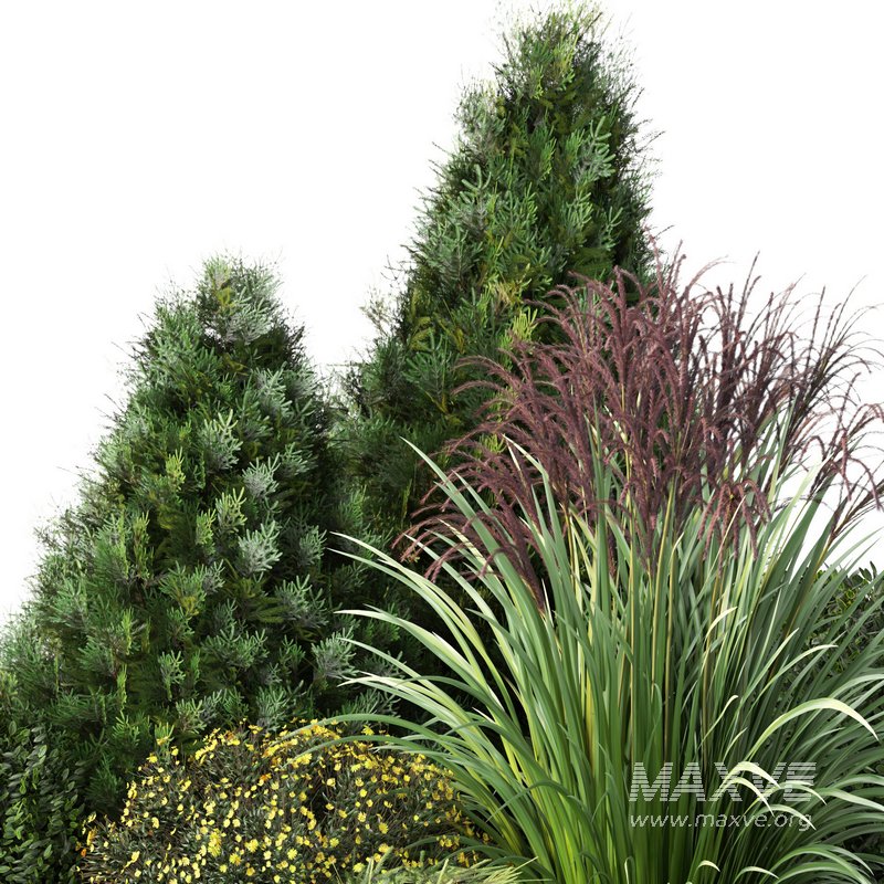 outdoor garden tree plant015 collection - Image 2