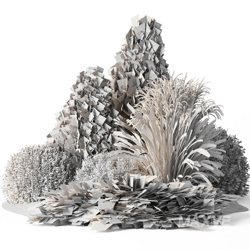 outdoor garden tree plant015 collection - Image 3