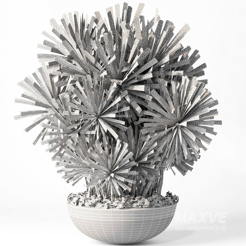 indoor plant set014 palm tree plant - Image 4