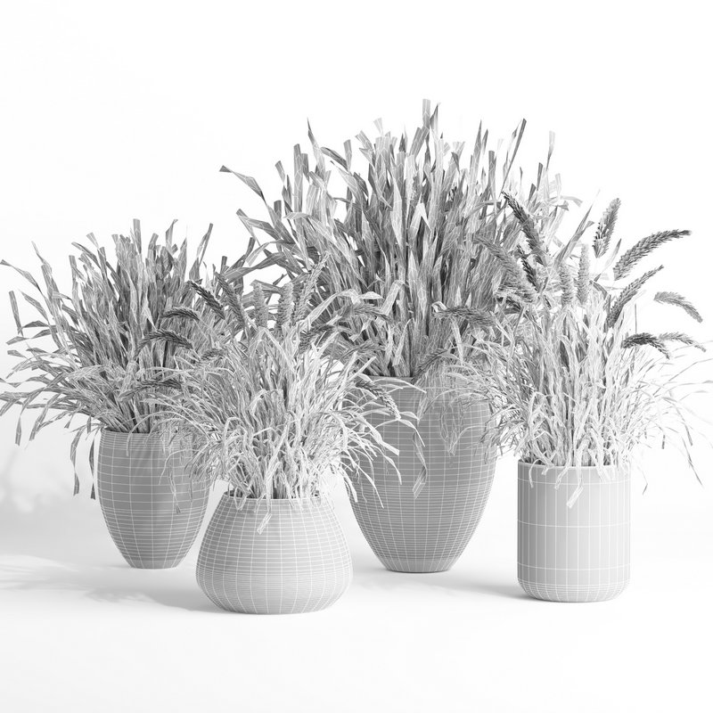 outdoor indoor plant007 Saabira charcoal - Image 5