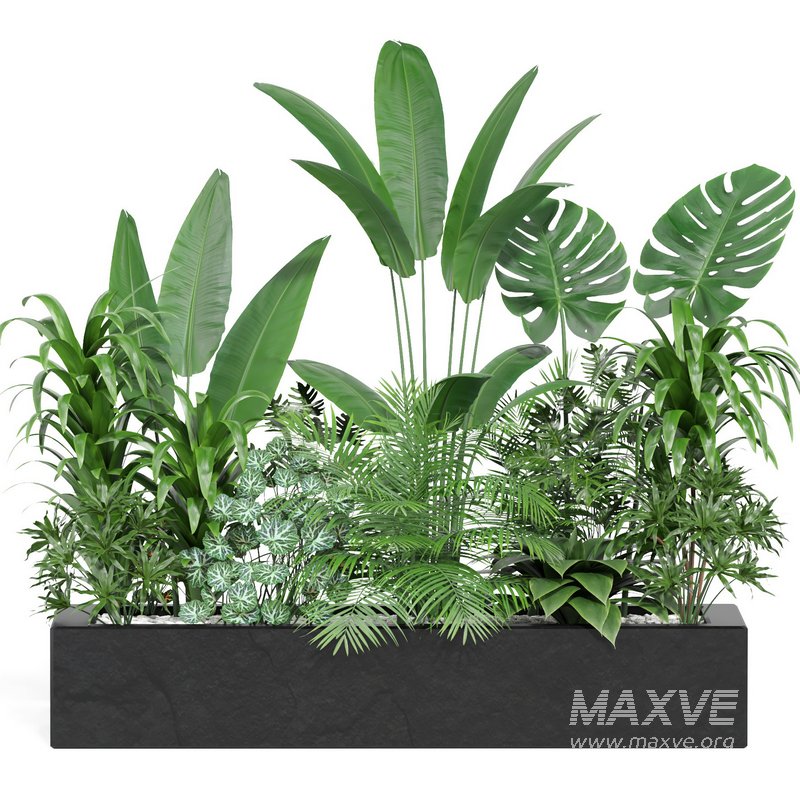 indoor outdoor plant set006 collection - Image 1